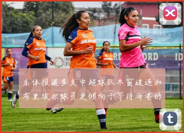 东体报道多支中超球队冬窗追逐加布里埃尔球员更倾向于等待海港的机会