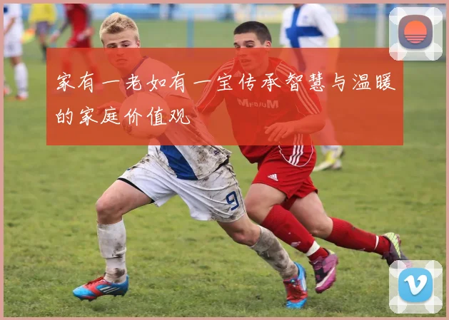 家有一老如有一宝传承智慧与温暖的家庭价值观