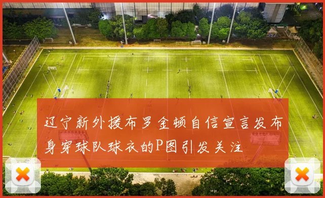 辽宁新外援布罗金顿自信宣言发布身穿球队球衣的P图引发关注