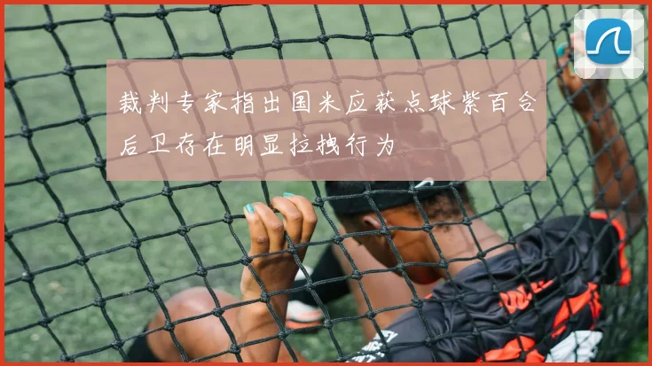 裁判专家指出国米应获点球紫百合后卫存在明显拉拽行为